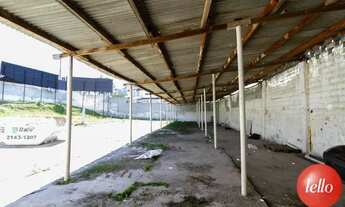 Imagem 6: São Bernardo do Campo - Terreno Padrão - Jardim Três Marias