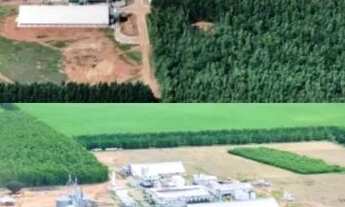 Imagem 3: Fazenda + Usina de Biodiesel - 26.727 hectares, MT