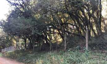 Imagem: Terreno na Barragem do Salto em São Francisco