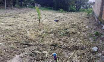 Imagem 3: Terreno Terreno / lote com venda por R$250