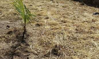 Imagem 4: Terreno Terreno / lote com venda por R$250