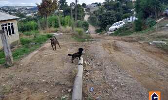 Imagem 3: Terreno à venda em Nova Rússia
