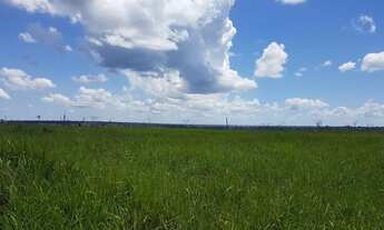 Imagem 3: Fazenda com 8.885 hectares na região de santiago do norte