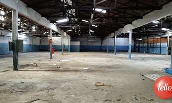 Imagem: São Paulo - Galpão/Depósito/Armazém