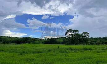 Imagem 2: Terreno com Área Verde em Local Tranquilo