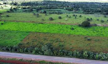 Imagem 3: Chácara 21,78 ha (4,5alqueiro) à Venda ? Divinópolis do Tocantins