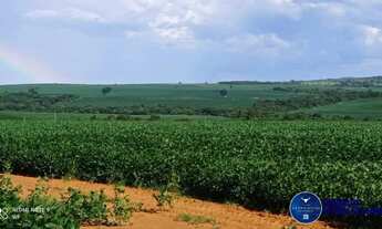 Imagem: Fazenda à Venda em Doverlândia GO 433