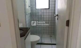 Imagem 7: ECOGARDEN- PONTA NEGRA