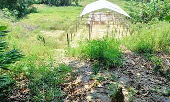 Imagem 2: CASA COM SÍTIO Chácara com venda por R$200.000