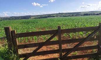Imagem 2: Vendo o melhor sítio da região da Taquara DF