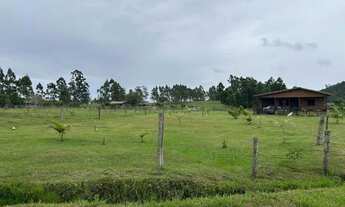 Imagem 4: LINDA CHACARA EM SANTO ANTONIO DA PATRULHA - 2.1 HECTARES