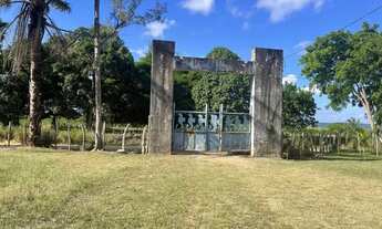 Imagem 6: Fazenda em Marechal Deodoro