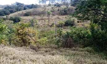 Imagem 4: Terreno 29ha, terra boa e quase todo formado em branquearão, Baldim