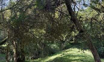 Imagem 4: Terreno à venda, Fiuza - Viamão/RS