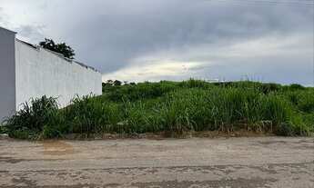 Imagem: ÁGIO LOTE PALMEIRAS 3