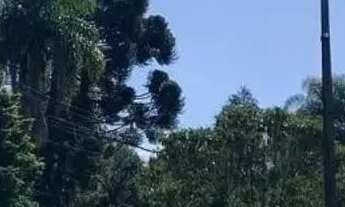 Imagem 4: Sítio de grande porte em Atibaia - Impecável