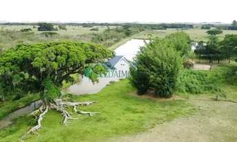 Imagem 6: Velleda oferece excelente fazenda de 46 hectares com estrutura em Viamão!