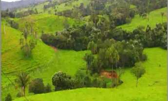 Imagem 3: Fazenda monta pecuária triângulo mineiro