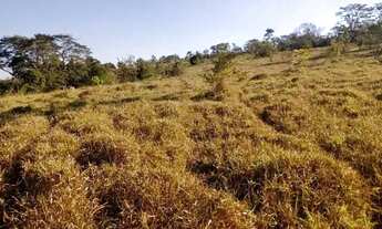 Imagem 5: Terreno 29ha, terra boa e quase todo formado em branquearão, Baldim