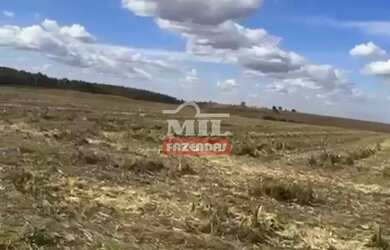 Imagem 7: Fazenda 338 Alqueires (1.635 hectares) Alexânia - GO