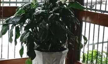 Imagem 5: Apartamento 1 dormitorio bairro Cidade Baixa- PortoAlegre