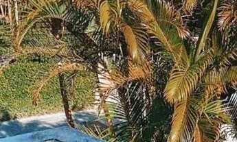 Imagem 7: Apartamento Pico da Cruz