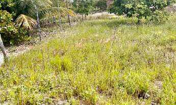 Imagem 4: Terreno em Santo Amaro das Brotas
