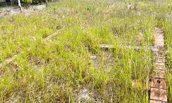Imagem: Terreno em Santo Amaro das Brotas