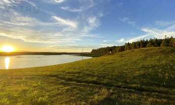Imagem 5: Sítio à Venda em São Francisco de Paula!