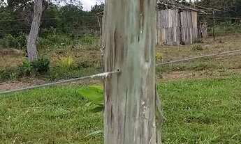 Imagem 7: Chácara após o Mucambinho