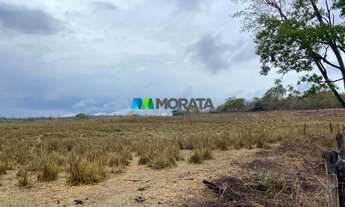 Imagem 7: FAZENDA À VENDA - 275 HECTARES - REGIÃO DE CURVELO (MG