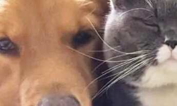 Imagem 6: Flat Final do Bueno com agua e luz incluido - Goiânia - GO