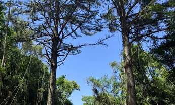 Imagem 2: Sítio 1000m2 RS 020- Taquara/rs