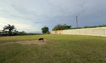 Imagem 7: SÍTIO À VENDA IRANDUBA / AM, AM-070, Km 28, Acesso ao Rio Negro