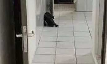 Imagem: Casa com 1 dormitório para alugar por R$