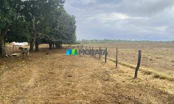 Imagem 2: FAZENDA À VENDA - 275 HECTARES - REGIÃO DE CURVELO (MG