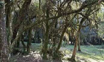 Imagem 3: Terreno à venda, Fiuza - Viamão/RS