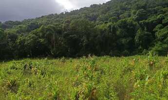 Imagem 4: Terrenos em Ibiúna com acesso facilitado e potencial para realizar seu projeto