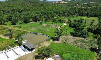 Imagem 6: Imóvel para venda tem 3000 metros quadrados em TABOCA - Itaporanga DAjuda - SE