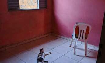 Imagem 4: CASA NO EQUATORIAL R$75.000,00 A VISTA OU R$10.000,00 + PARCELAS A COMBINAR