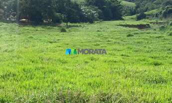 Imagem: FAZENDA À VENDA - 135 HECTARES - RIO CASCA
