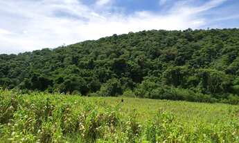 Imagem 5: Terrenos em Pré-Lançamento em Ibiúna com Alto Potencial de Valorização