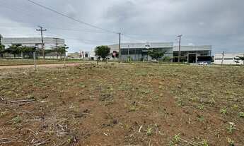 Imagem 6: Área No Setor Sul Jamil Miguel