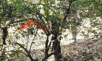 Imagem 3: Casa em Rua Francisco Lourenço dos Santos - Veneza - Ribeirão das Neves/MG
