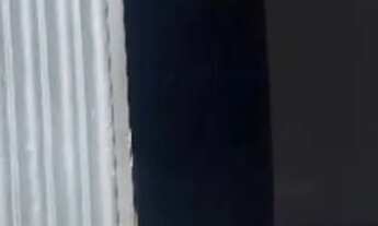 Imagem 4: Casa no jardim união