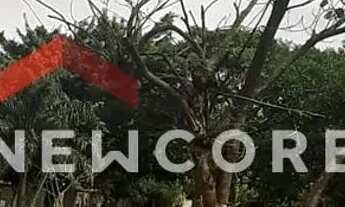 Imagem 3: Lote em Rua Visconde de Taunay - Harmonia - Canoas/RS