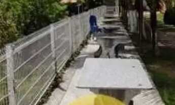 Imagem 3: Chácara à venda, São Cristóvão - São Cristóvão/SE