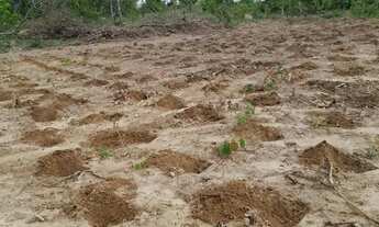 Imagem 5: Sítio a venda 5 hectare no monjolo