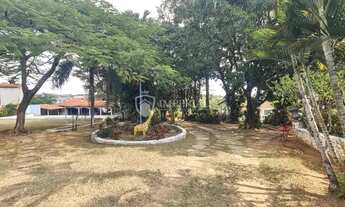 Imagem 6: Propriedade Rural para Venda