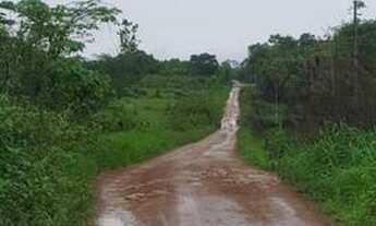 Imagem 6: Fazenda de 900 hectares Rorainópolis a 10 km da cidade